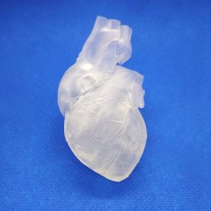 Technologia SLA-Żywica Clear-Model anatomiczny serca